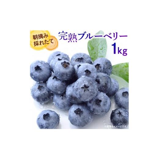 ふるさと納税 果物類 埼玉県 伊奈町 ブルーベリー 先行予約 2026年産 朝摘み完熟フレッシュブルーベリー 1kg 生ブルーベリー 朝摘み 令和8年産 果物 フルーツ …