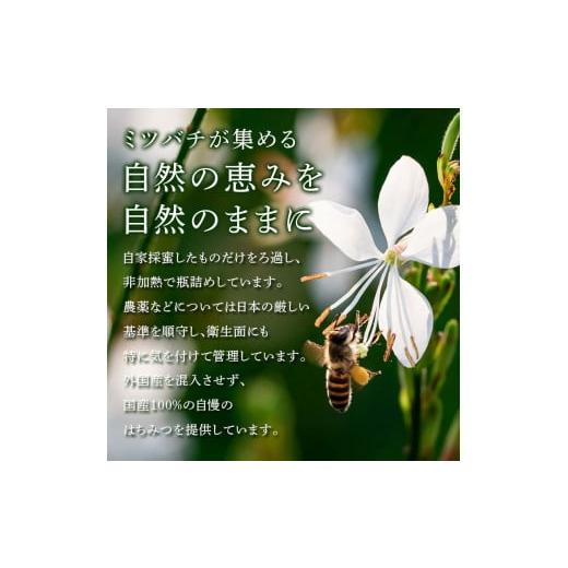 ふるさと納税 加工品等 はちみつ 福島県 伊達市 柿の天然はちみつ 900g(300g×3) 伊達市産 国産 天然 蜂蜜 ハチミツ ハニー F20C-294の画像