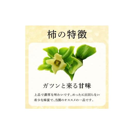 ふるさと納税 加工品等 はちみつ 福島県 伊達市 柿の天然はちみつ 900g(300g×3) 伊達市産 国産 天然 蜂蜜 ハチミツ ハニー F20C-294の画像