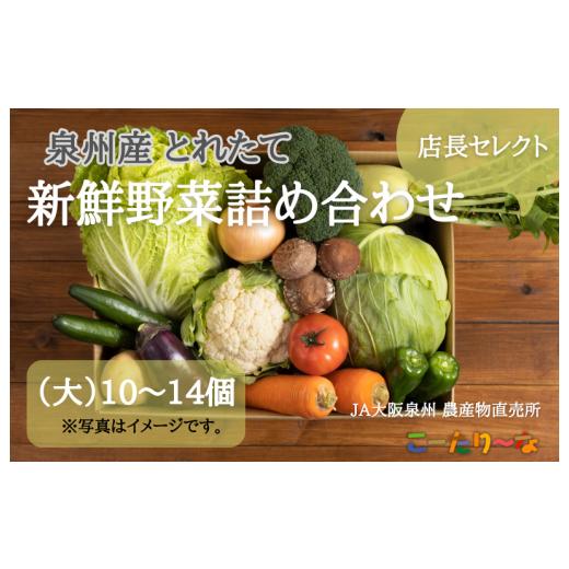ふるさと納税 セット・詰合せ 大阪府 泉佐野市 JA大阪泉州 直売所店長セレクト 新鮮野菜セット 10〜14個 詰め合わせ 泉佐野産 とれたて 新鮮野菜 やさい 高評…の画像