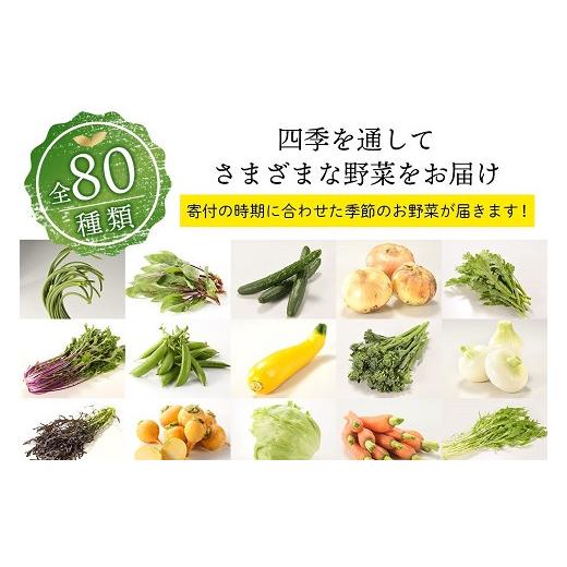 ふるさと納税 宮崎県 綾町 「お好きな時にいつでもお届け」旬のお野菜定期便【全6回】（53-32）｜furusatochoice｜07