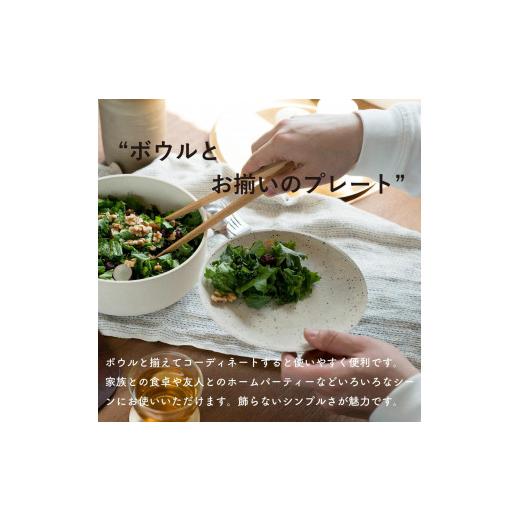 ふるさと納税 陶磁器・漆器・ガラス 滋賀県 甲賀市  信楽焼・明山 GRAIN WARE MIKAGE PLATE 2枚セット ac-12の画像