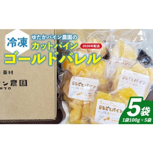 ふるさと納税 果物類 沖縄県 東村 ゆたかパイン農園の冷凍カットパイン ゴールドバレル(1袋100g×5袋セット) 2026年発送 沖縄県産 東村 パイナップル 冷凍 …