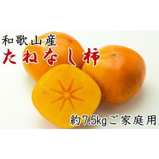 ふるさと納税 果物類 柿 和歌山県 かつらぎ町 秋の味覚 和歌山産たねなし柿 ご家庭用 約7.5kg 2025年9月中旬から11月上旬頃順次発送予定