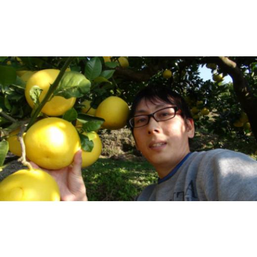 ふるさと納税 地域のお礼の品 高知県 土佐市  先行予約 三愛果樹園の土佐文旦 （大玉）家庭用 約5kg ／ 土佐文旦 みかん 柑橘 ぶんたん ブンタン 果物 フルー…_2
