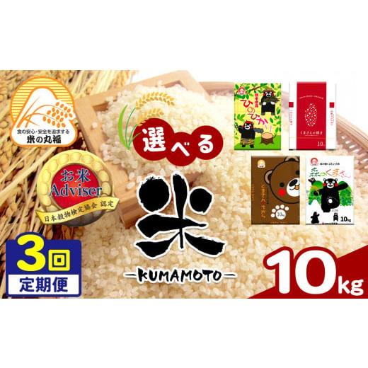 ふるさと納税 米 熊本県 玉名市 定期便3回 熊本県産 森のくまさん 10kg×3回 | 米 こめ お米 おこめ 白米 精米 定期 定期便 熊本県 玉名市 DI4-1 森のくまさ…