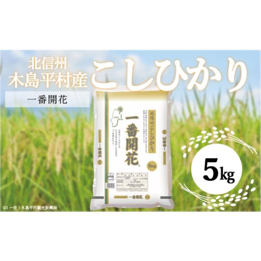 ふるさと納税 長野県 木島平村 【一番開花】【コシヒカリ】木島平産こしひかり　5kg　A009-09｜furusatochoice｜02