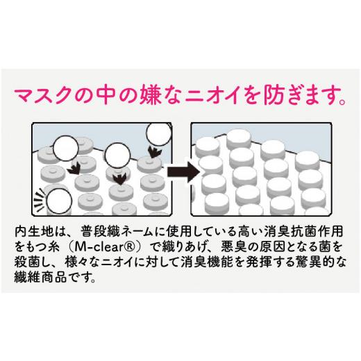 ふるさと納税 雑貨・日用品 福井県 坂井市 「恐竜マスク フクイラプトル」 白・LLサイズ A-3311_04 白・LLサイズの画像