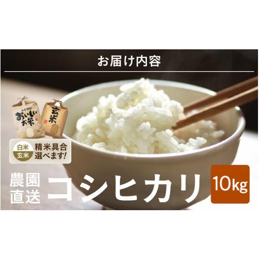 大人気販売中 ふるさと納税 福井県 坂井市 【令和5年産】【白米5kg×2袋】福井県産 コシヒカリ10kg 〜本原農園からまごころコメて〜 【お米 こしひかり 白米 玄米 10キロ 選…