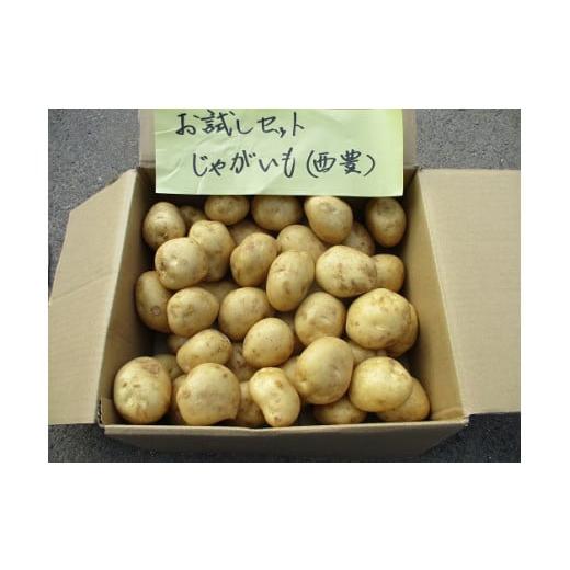 ふるさと納税 野菜類 じゃがいも 大分県 豊後高田市 有機JASじゃがいも(5kg/訳あり/S~Lサイズ)先行予約 5kg(S~Lサイズ混合)