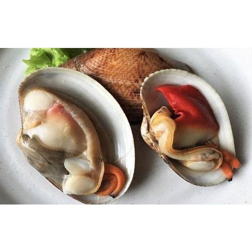 ふるさと納税 魚貝類 山口県 周防大島町 冬季限定 産直だから手に入る ぶちうまヒメ貝 1kg 天然活 先行受付開始 2026年2月7日以降のお届け