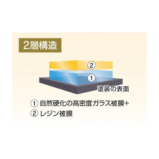 【２点セット】 ふるさと納税 愛知県 大府市 【大府店限定】手洗い洗車とカーコーティングの専門店KeePer LABO「ダイヤモンドキーパー」コーティング券（Mサイズ・Lサイズ） 【PET3211751513】(113120円)