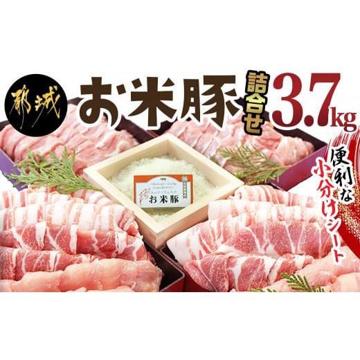 ふるさと納税 宮崎県 都城市 お米豚3.7kgセット_17-3101_(都城市) 豚肉 豚ロース 豚こま切れ 豚バラ肉 豚肩ロース ブランド豚 小分け スライス肉｜furusatochoice｜02