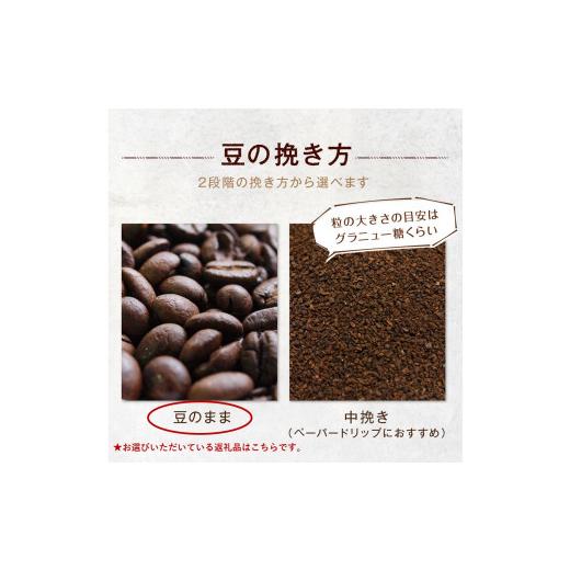 ふるさと納税 コーヒー コーヒー豆 大阪府 守口市 味わい珈琲2.5kgセット(豆)｜ゴールド珈琲 大阪府 守口市 自家焙煎 ギフト お中元 お歳暮 2635