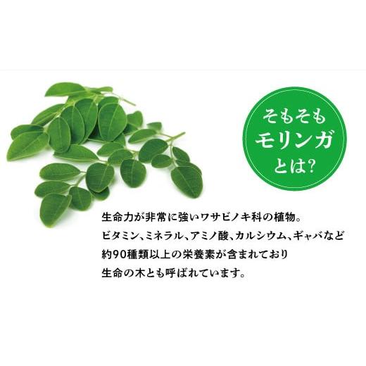 ふるさと納税 お茶類 沖縄県 宜野湾市 金ちゃんちのモリンガ茶（30包×4袋）_3