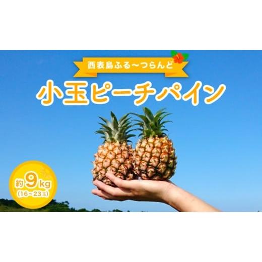 ふるさと納税 果物類 沖縄県 竹富町 2026年 先行予約 小玉 ピーチパイン 約9kg 16〜23玉 西表島ふる〜つらんど 美味しさギュッと 果物 フルーツ パイン 約9kg…