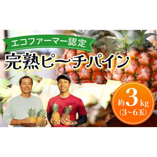 ふるさと納税 果物類 沖縄県 竹富町 [2026年 先行予約]ピーチパイン 約3kg 3〜6玉 農園ファイミール 完熟 果物 フルーツ 約3kg(3〜6玉入り)