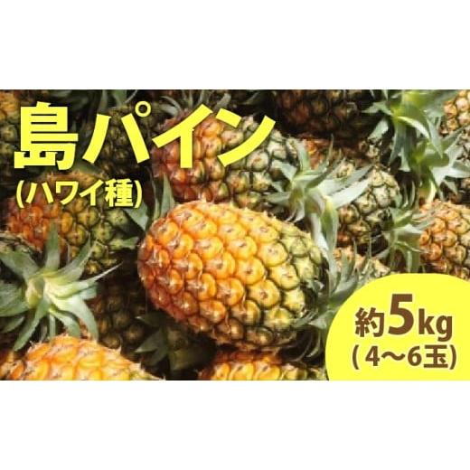 ふるさと納税 果物類 沖縄県 竹富町 2026年 先行予約 島パイン (ハワイ種) 約5kg (4〜6玉) ますみ農園 "蜜たっぷり" パイン パイナップル 果物 フルーツ 約5…
