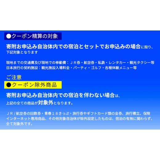 完動品 ふるさと納税 沖縄県 竹富町 日本旅行　地域限定旅行クーポン【90，000円分】 【OCQ4769926248】(168000円)