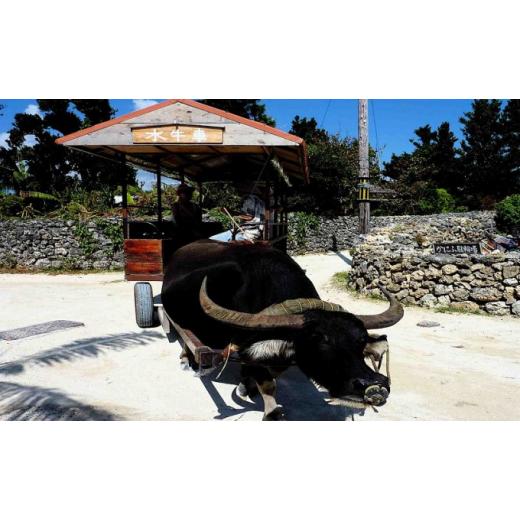 完動品 ふるさと納税 沖縄県 竹富町 日本旅行　地域限定旅行クーポン【90，000円分】 【OCQ4769926248】(168000円)