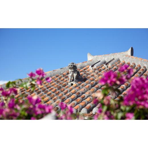 完動品 ふるさと納税 沖縄県 竹富町 日本旅行　地域限定旅行クーポン【90，000円分】 【OCQ4769926248】(168000円)