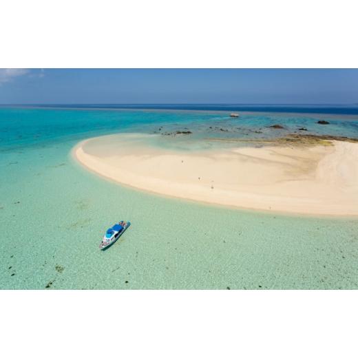 完動品 ふるさと納税 沖縄県 竹富町 日本旅行　地域限定旅行クーポン【90，000円分】 【OCQ4769926248】(168000円)