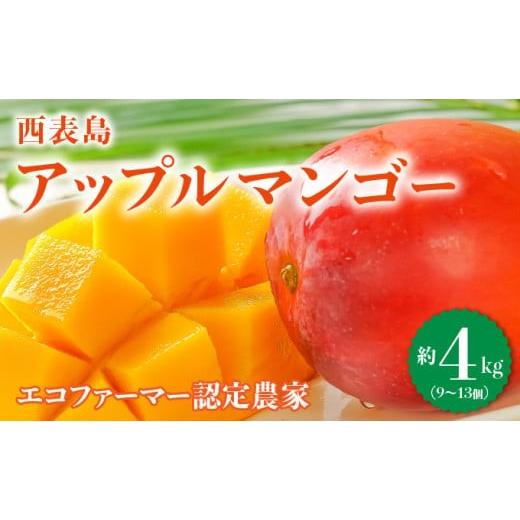 ふるさと納税 果物類 沖縄県 竹富町 満足度NO.1 1玉1玉検品し、樹上完熟で糖度14度以上のみ発送します 西表島プレミアムマンゴー4kg 4kg