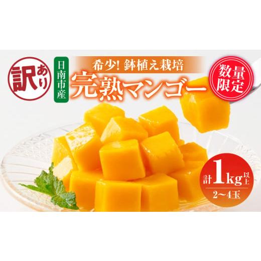 ふるさと納税 マンゴー 宮崎県 日南市 訳あり 数量限定 希少 完熟 マンゴー 鉢植え栽培 計1kg以上 期間限定 くだもの 果物 フルーツ 不揃い 糖度13度以上 日南…