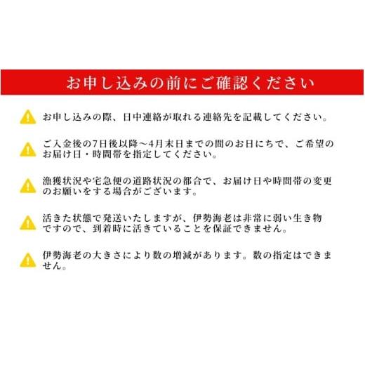 ふるさと納税 おせち 三重県 熊野市 数量限定 活き 伊勢海老 約1kg（1〜3尾）おせちにもおすすめ 配送日指定可 ／ 伊勢エビ 伊勢えび エビ えび 海老 刺身 お… |  | 04