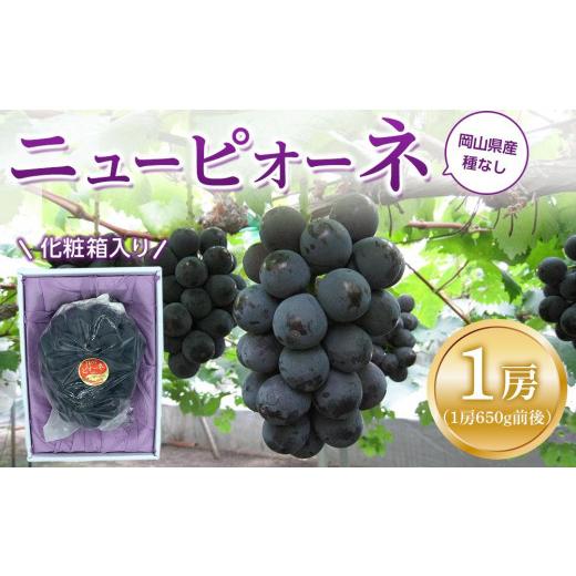 ふるさと納税 ぶどう 岡山県 岡山市 ぶどう 2026年 ニュー ピオーネ 1房(1房約600g前後) 産地直送 ブドウ 葡萄 岡山県産 国産 フルーツ 果物 ギフト たけま…