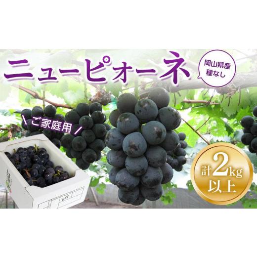 ふるさと納税 ぶどう 岡山県 岡山市 ぶどう 2026年 ご家庭用 ニュー ピオーネ 合計2kg以上 産地直送 ブドウ 葡萄 岡山県産 国産 フルーツ 果物 たけまさぶどう…