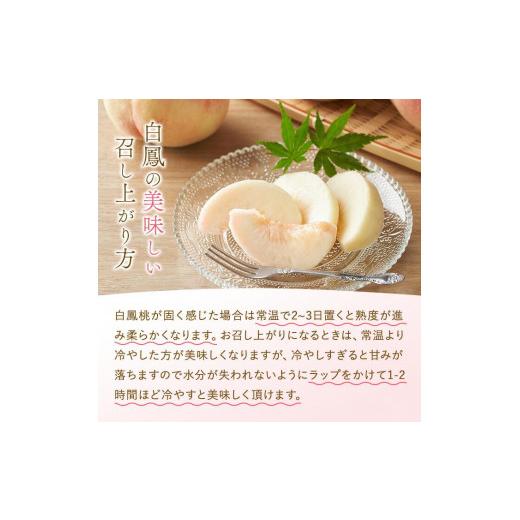 ふるさと納税 もも 和歌山県 九度山町 和歌山県産 白鳳 桃 5〜8玉入り 秀品 先行予約［2026年6月下旬以降発送］［MG6］の画像