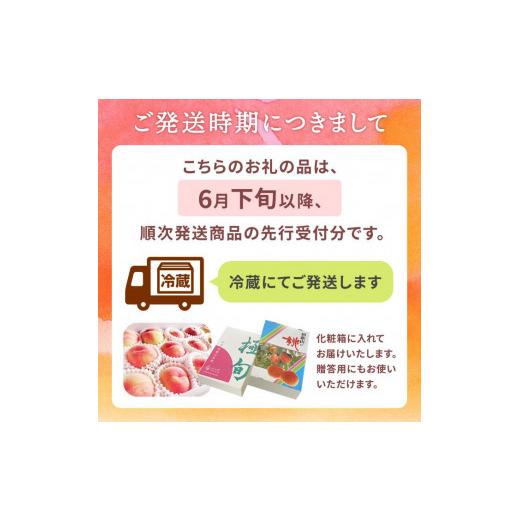 ふるさと納税 もも 和歌山県 九度山町 和歌山県産 白鳳 桃 5〜8玉入り 秀品 先行予約［2026年6月下旬以降発送］［MG6］の画像