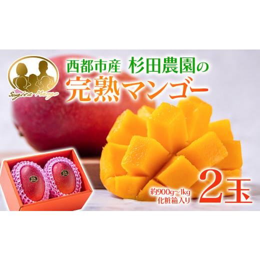 ふるさと納税 マンゴー 宮崎県 西都市 マンゴー専門 杉田農園 西都市産 完熟マンゴー 2玉 900g~1kg 化粧箱入 生産者直送 宮崎マンゴー 1.8-24 果物 フルーツ …