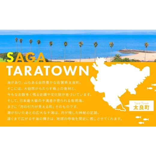 ふるさと納税 日本酒 純米酒 佐賀県 太良町 R-42 こだわりのお酒３回定期便IIIの画像