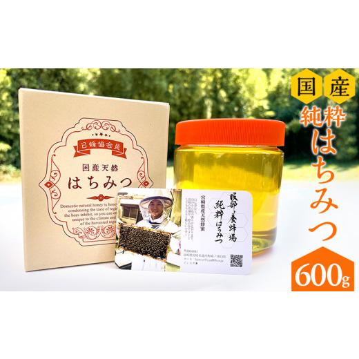 工場は直販 ふるさと納税 宮崎県 宮崎市 《2023年発送》数量限定 宮崎県産純粋ハチミツ(600g×1本)_M126-005_01