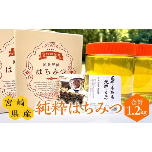 ふるさと納税 加工品等 はちみつ 宮崎県 宮崎市  数量限定 宮崎県産純粋はちみつ(600g×2本)_M126-006_01の画像