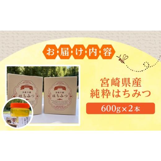 ふるさと納税 加工品等 はちみつ 宮崎県 宮崎市  数量限定 宮崎県産純粋はちみつ(600g×2本)_M126-006_01の画像
