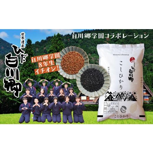 ふるさと納税 岐阜県 白川村 白川郷こしひかり 5kg 古代米 150g×2 セット 同日お届け コシヒカリ 赤米 黒米[S162]