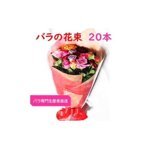 ふるさと納税 京都府 大山崎町 ＜バラ専門生産者直送＞バラの花束(色とりどり20本)【1210677】 