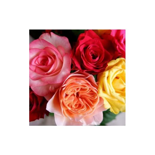 ふるさと納税 京都府 大山崎町 ＜バラ専門生産者直送＞バラの花束(色とりどり20本)【1210677】 