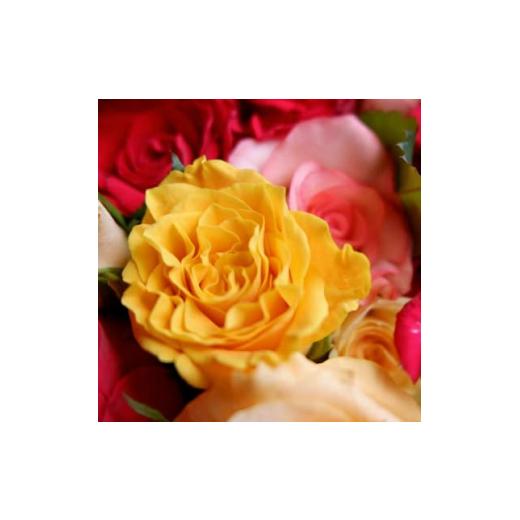 ふるさと納税 京都府 大山崎町 ＜バラ専門生産者直送＞バラの花束(色とりどり20本)【1210677】 