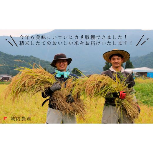 【ラスト1点】 ふるさと納税 新潟県 南魚沼市 新米 令和５年産 【お米定期便／全１２回】南魚沼産コシヒカリ　無洗米１０ｋｇ＜５割減農薬栽培米＞　城内農産 【LWH3597884067】(126720円)