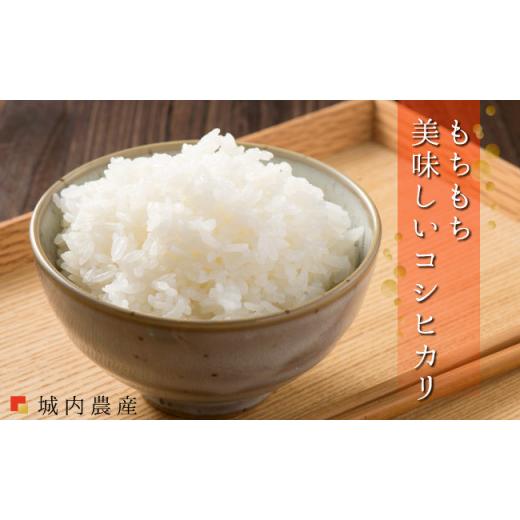 【ラスト1点】 ふるさと納税 新潟県 南魚沼市 新米 令和５年産 【お米定期便／全１２回】南魚沼産コシヒカリ　無洗米１０ｋｇ＜５割減農薬栽培米＞　城内農産 【LWH3597884067】(126720円)