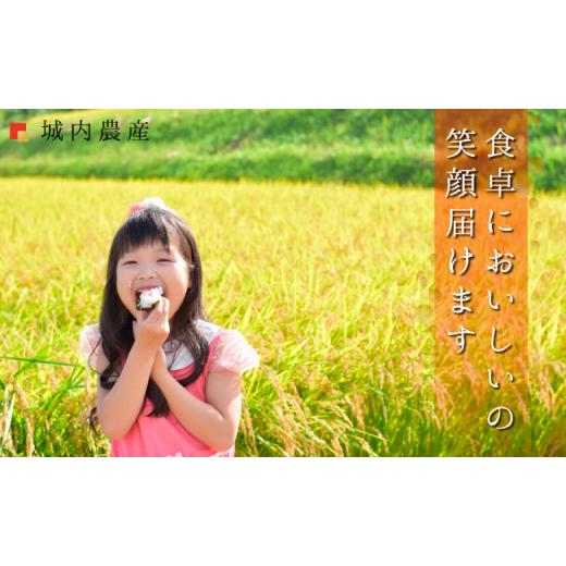 【ラスト1点】 ふるさと納税 新潟県 南魚沼市 新米 令和５年産 【お米定期便／全１２回】南魚沼産コシヒカリ　無洗米１０ｋｇ＜５割減農薬栽培米＞　城内農産 【LWH3597884067】(126720円)