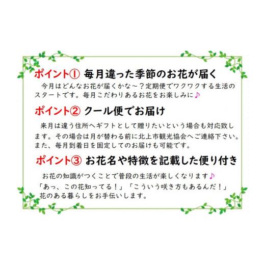 ふるさと納税 花・苗木 花束 岩手県 北上市 定期便 ／ 6ヶ月 心安らぐお供え フラワーアレンジメント (中) 季節のお花 生花 お供え 岩手県 北上市 J0054 花工…_5
