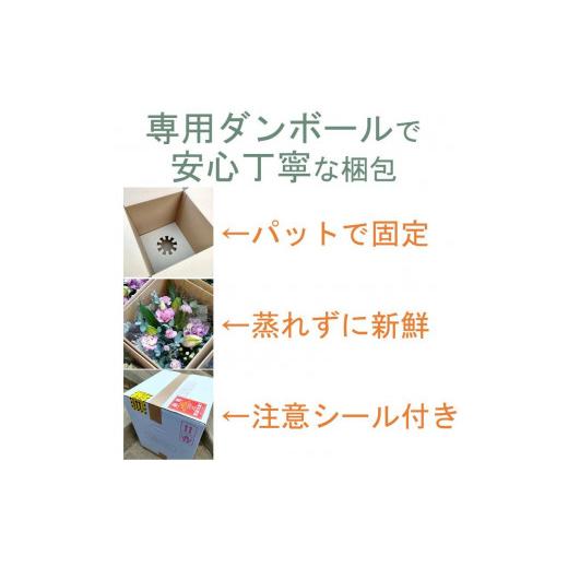ふるさと納税 花・苗木 花束 岩手県 北上市 定期便 ／ 6ヶ月 心安らぐお供え フラワーアレンジメント (中) 季節のお花 生花 お供え 岩手県 北上市 J0054 花工…_7
