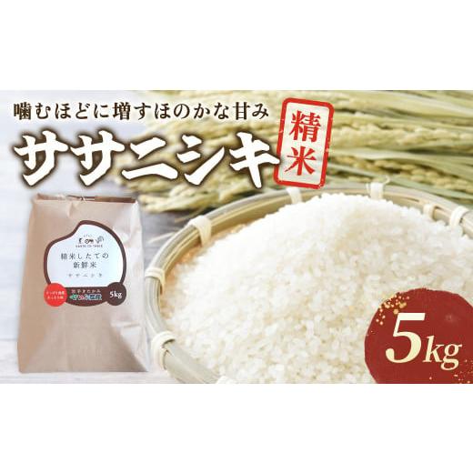 ふるさと納税 岩手県 北上市 [ 令和5年産 ][農薬節約栽培] 北上産 せいぶ農産米 『 ササニシキ 』 5kg