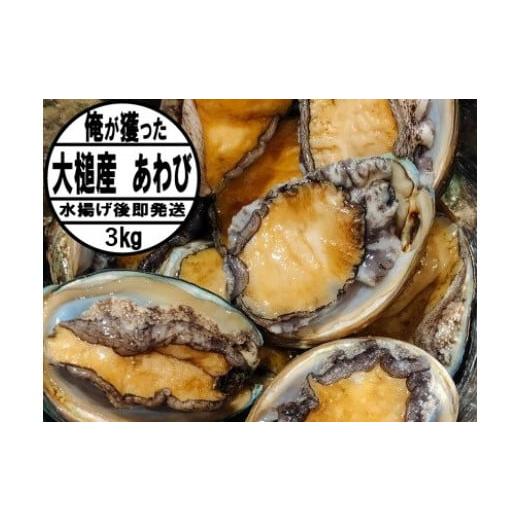 ふるさと納税 魚貝類 アワビ 岩手県 大槌町 2026年11月〜12月発送 アワビ 約3kg (20個前後) アワビヘラ&軍手付き 期間限定 35 |冷蔵 三陸 岩手県 大槌町 あ…