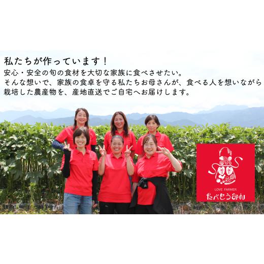 ふるさと納税 セット・詰合せ 愛媛県 西条市 野菜セット 定期便／3ヶ月お届け たべとうみんの旬菜ボックス　野菜 詰め合わせ 旬 卵 美豊卵 定期便 たべとうみ…_4